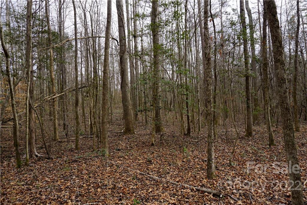 9 Ac Burree Road Property Photo 29