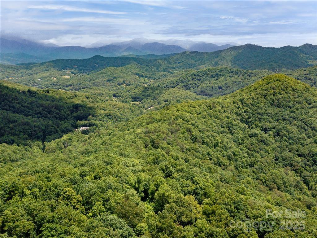 0 Long Winding Road Property Photo 1