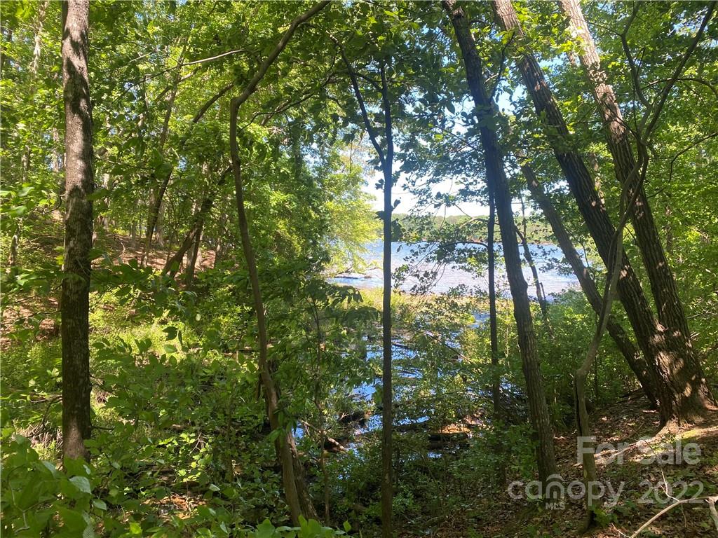 Lot 90 Edgewater Drive 90 Property Photo 1
