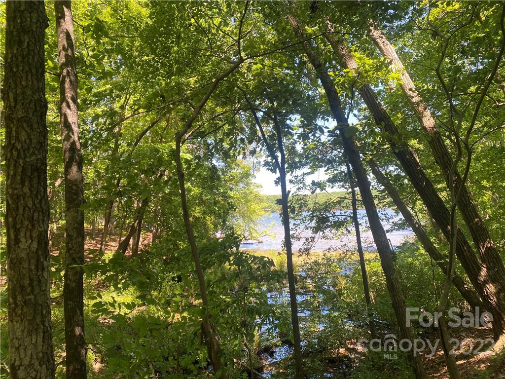 Lot 90 Edgewater Drive 90 Property Photo 4