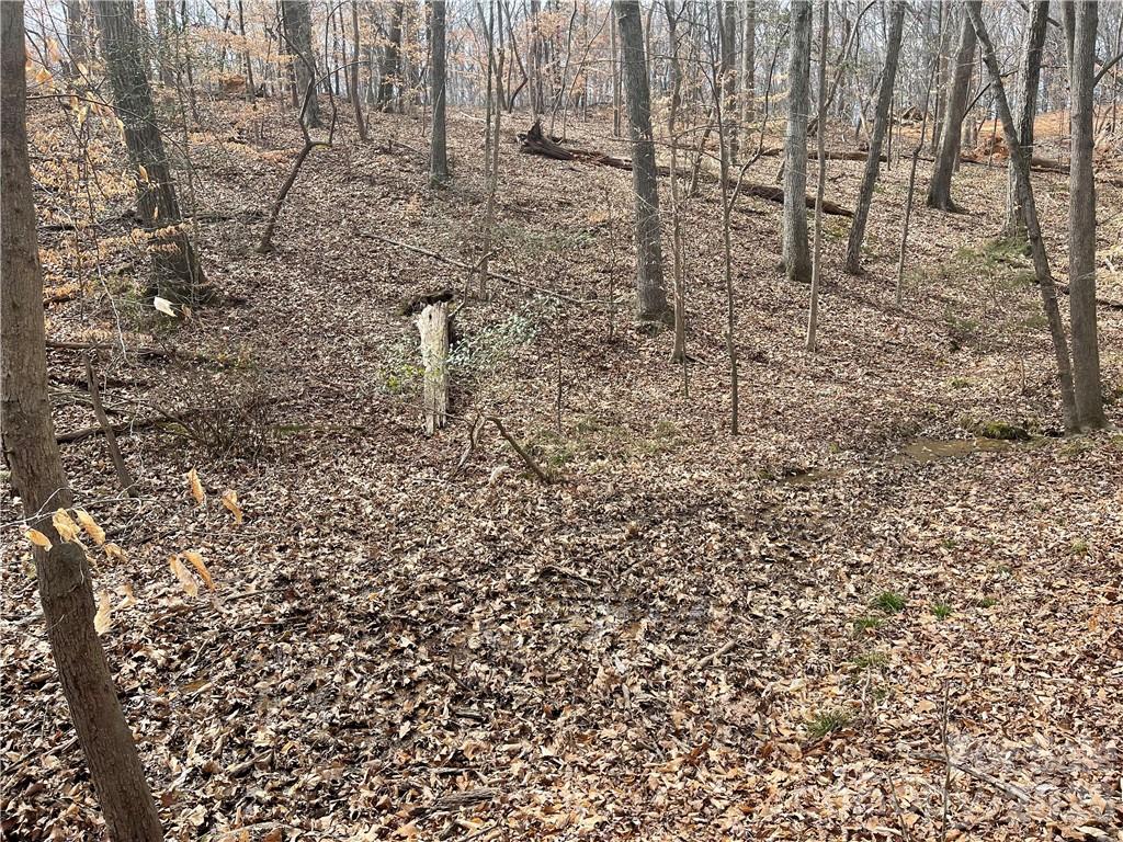 Lot 91 Tidewater Court 91 Property Photo 6