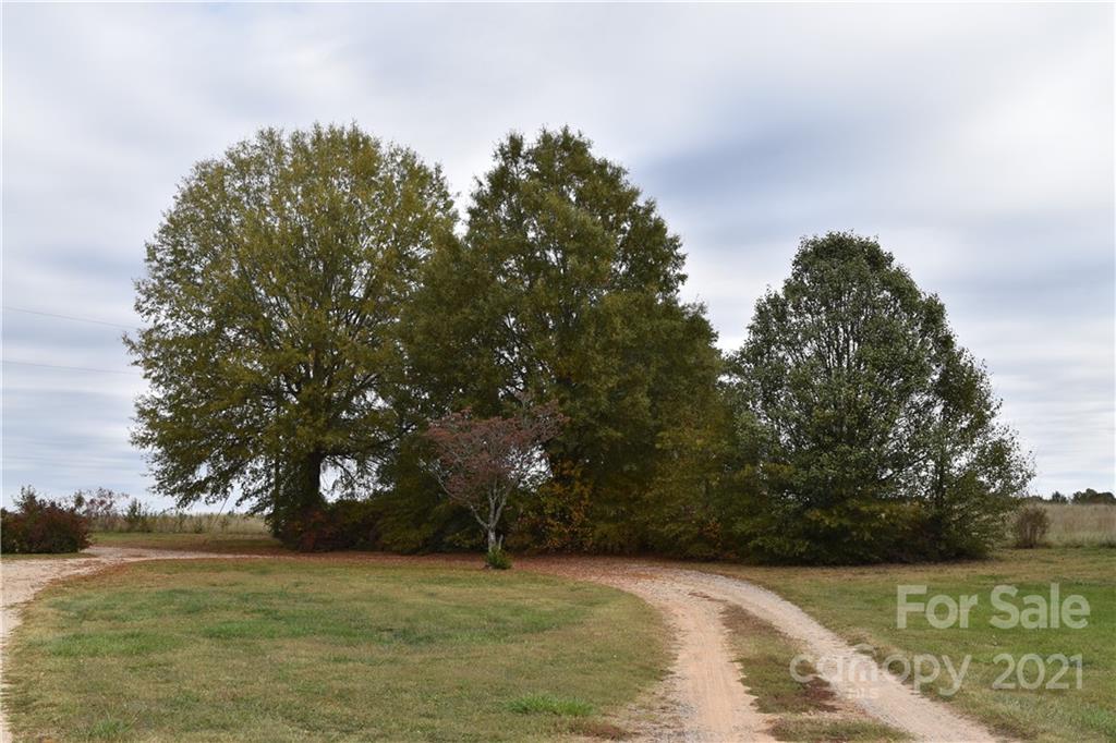 768 River Highway Property Photo 3
