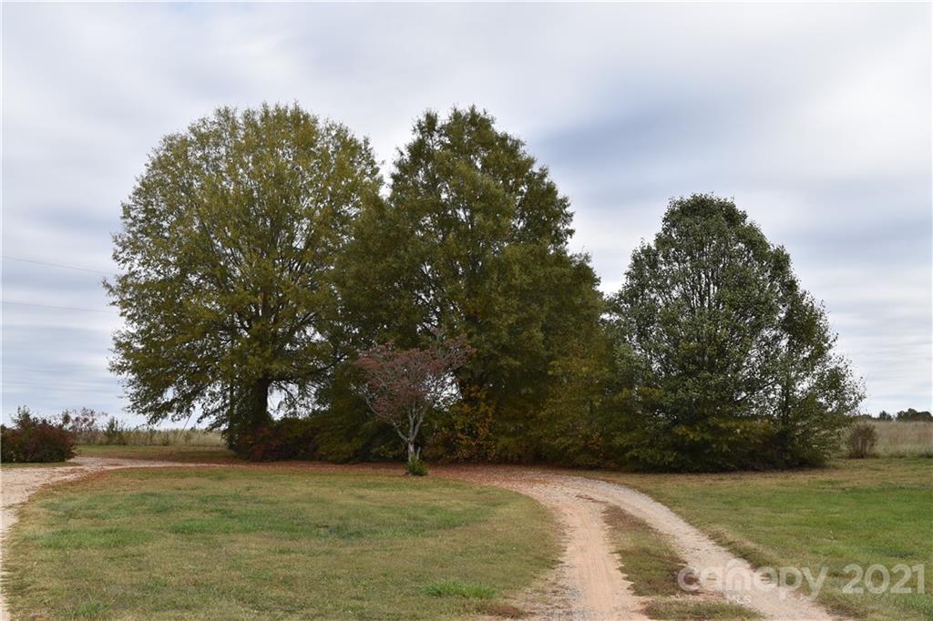 768 River Highway Property Photo 5