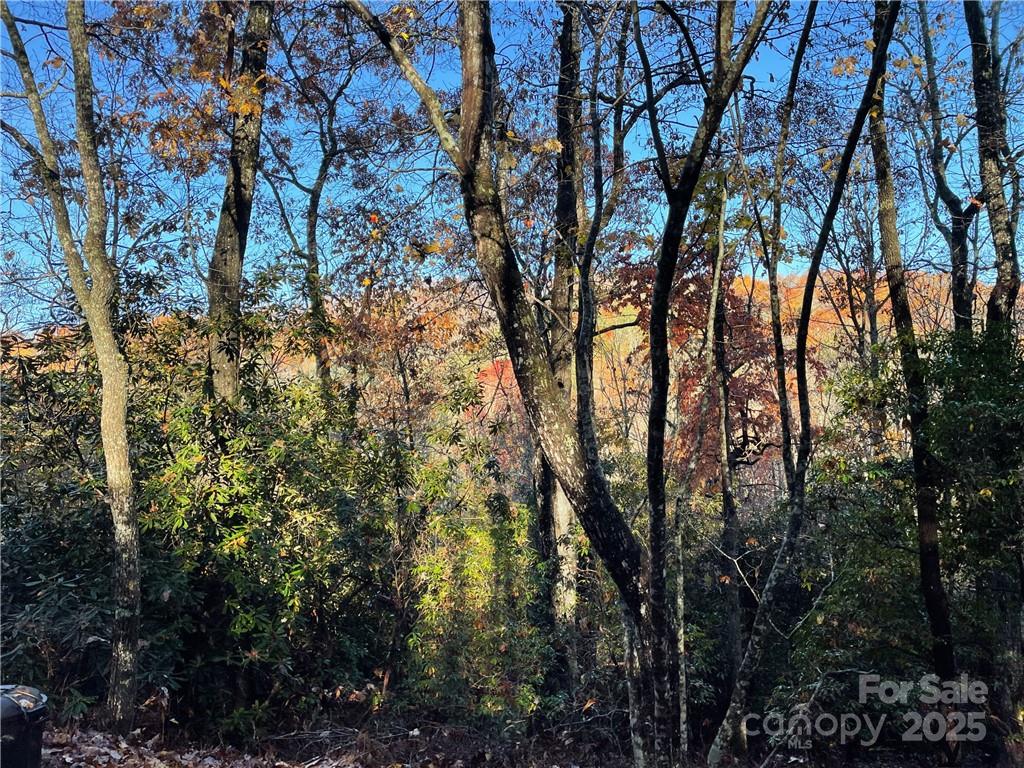 9999 Sassafras Road 4 Property Photo 20