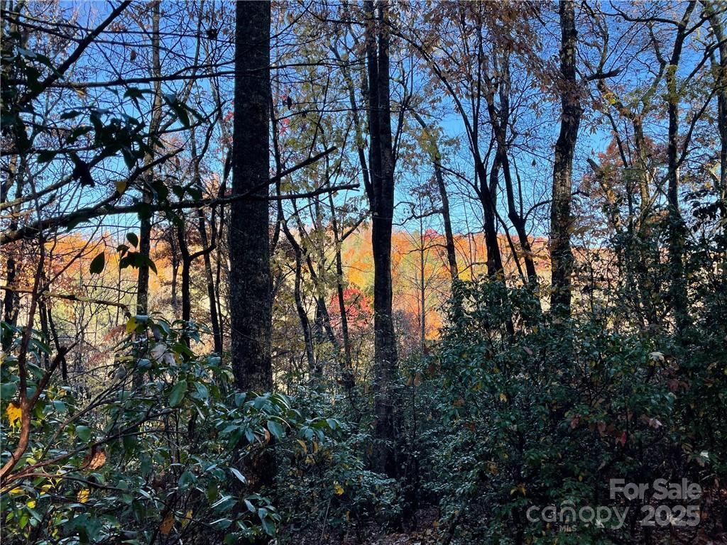 9999 Sassafras Road 4 Property Photo 22