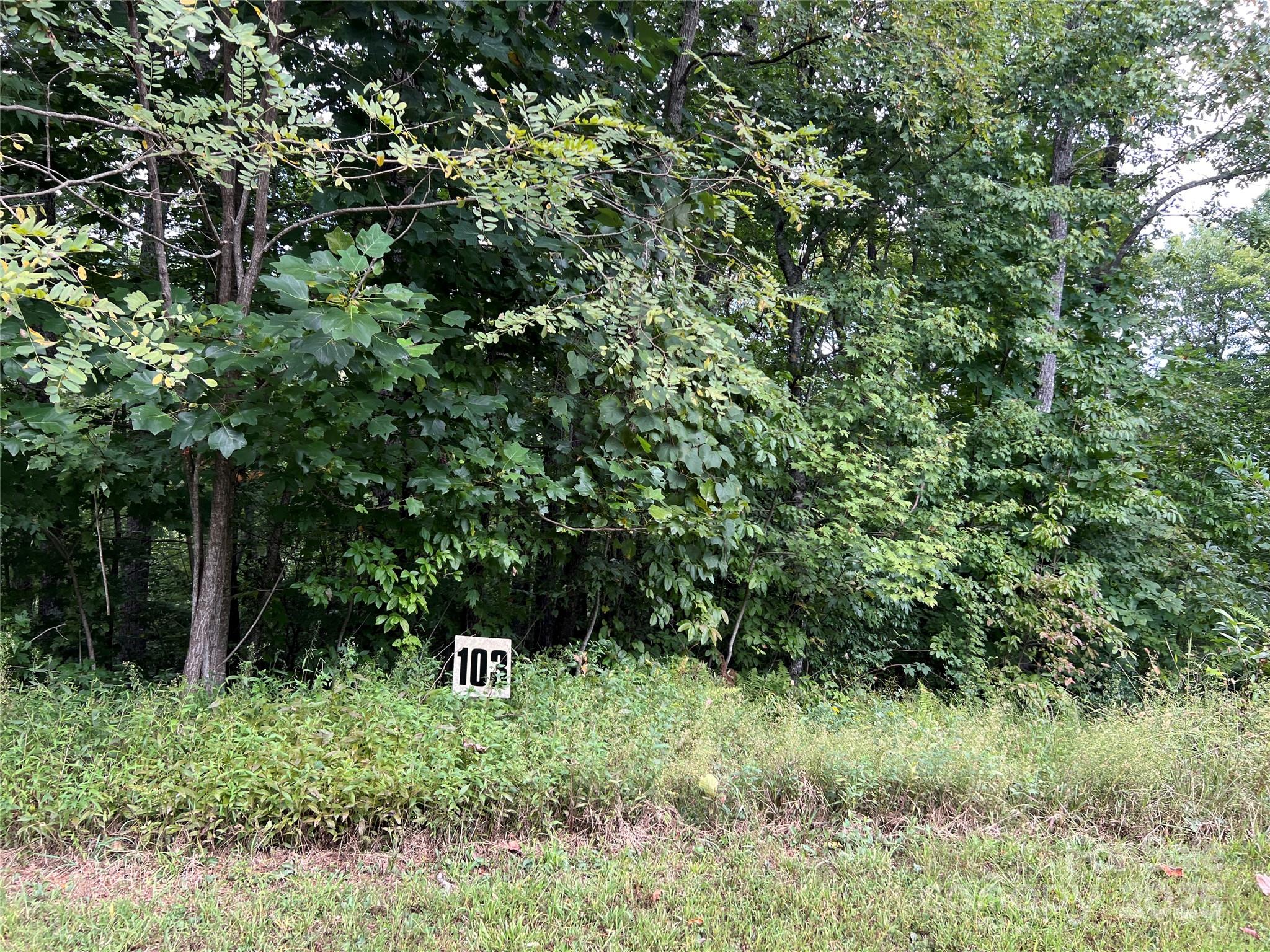 9999 Sassafras Road 4 Property Photo 36