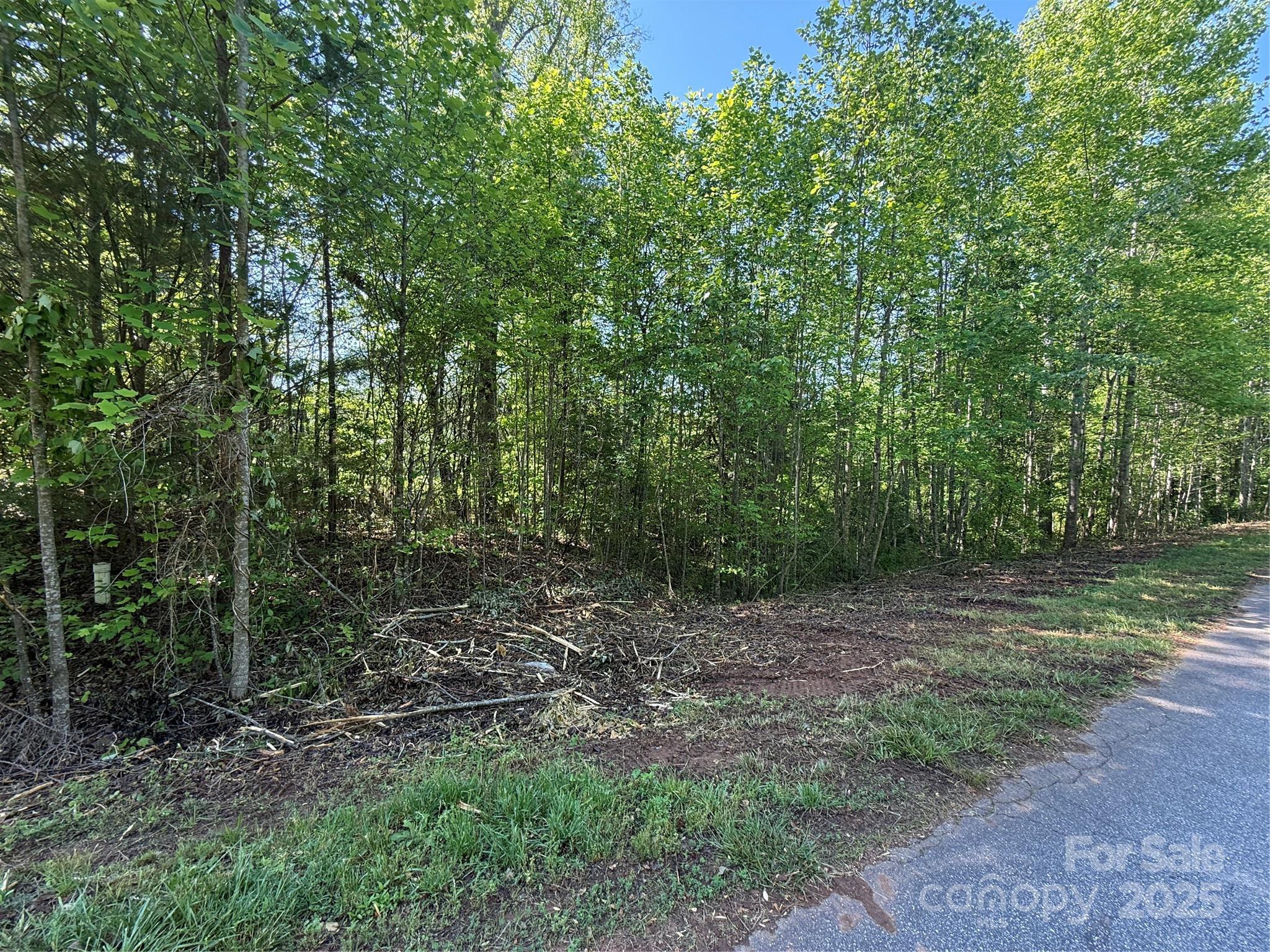 Lot 248 Riley Drive 248 Property Photo 2