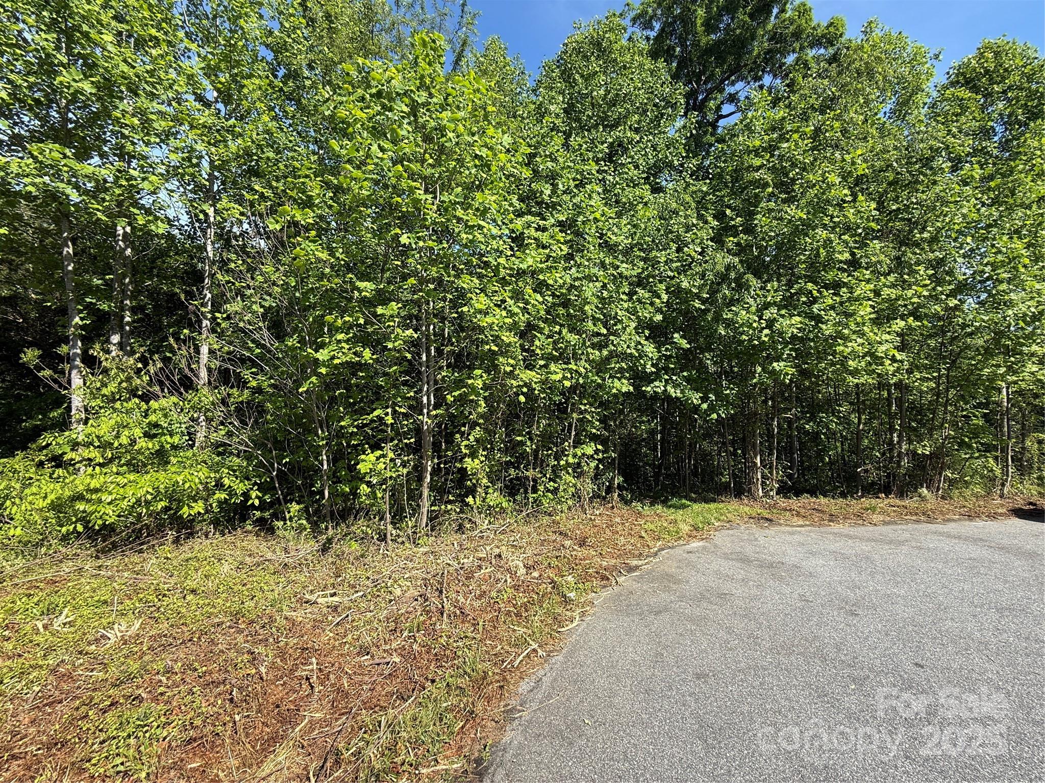 Lot 263 Riley Drive 263 Property Photo 2