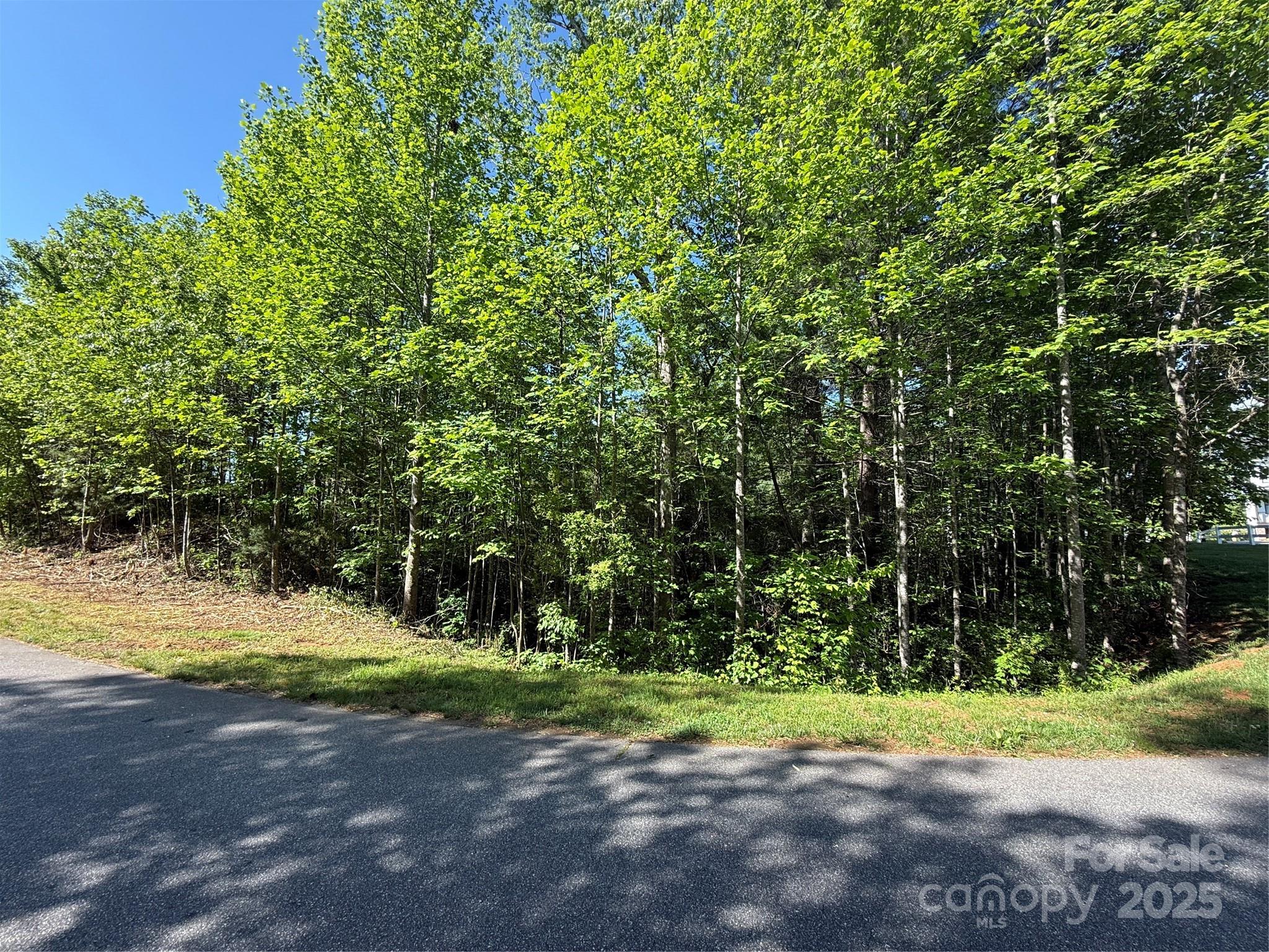 Lot 280 Whitman Court 280 Property Photo 2