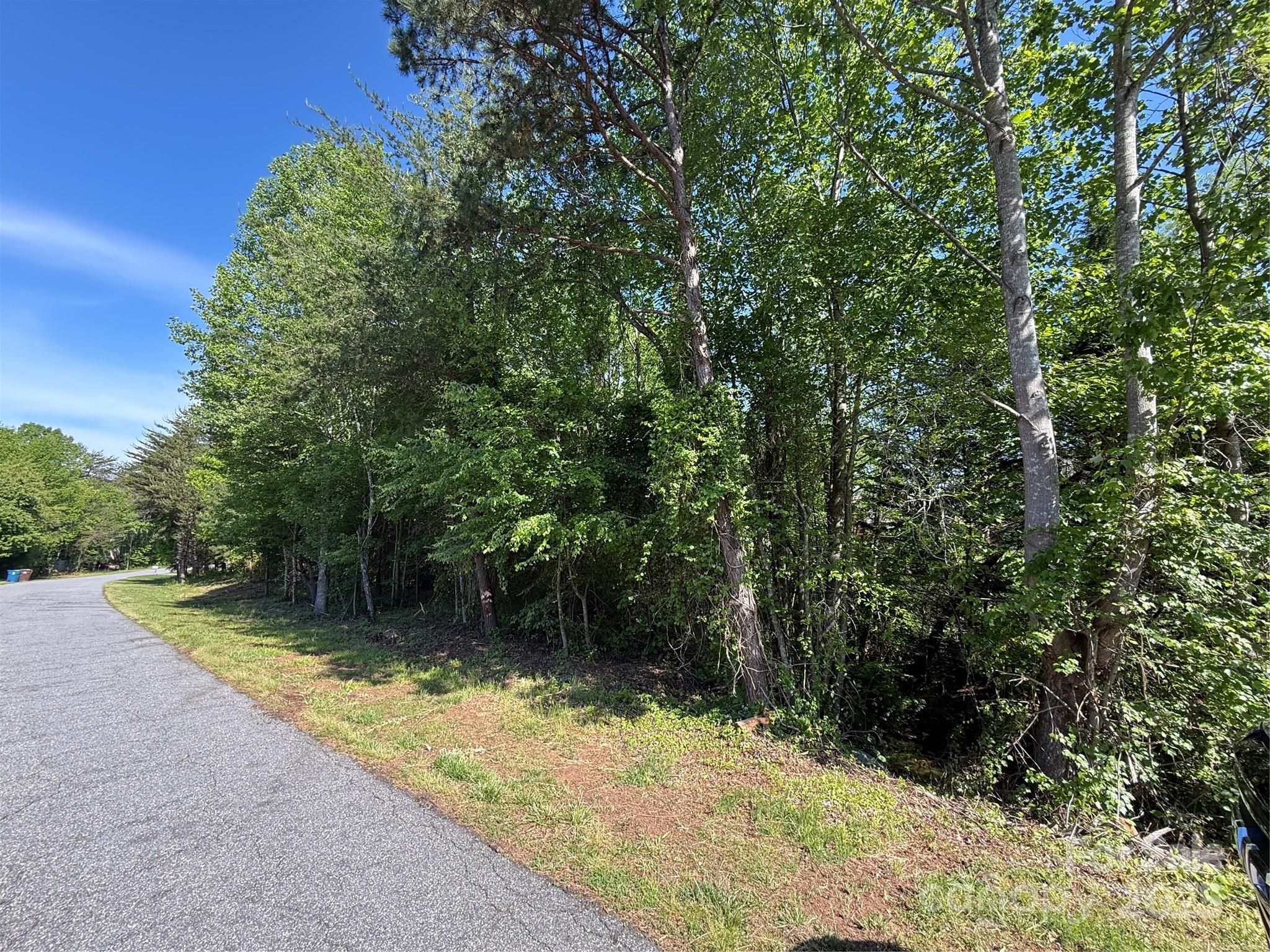 Lot 19 Wittenburg Springs Drive 019 Property Photo 2