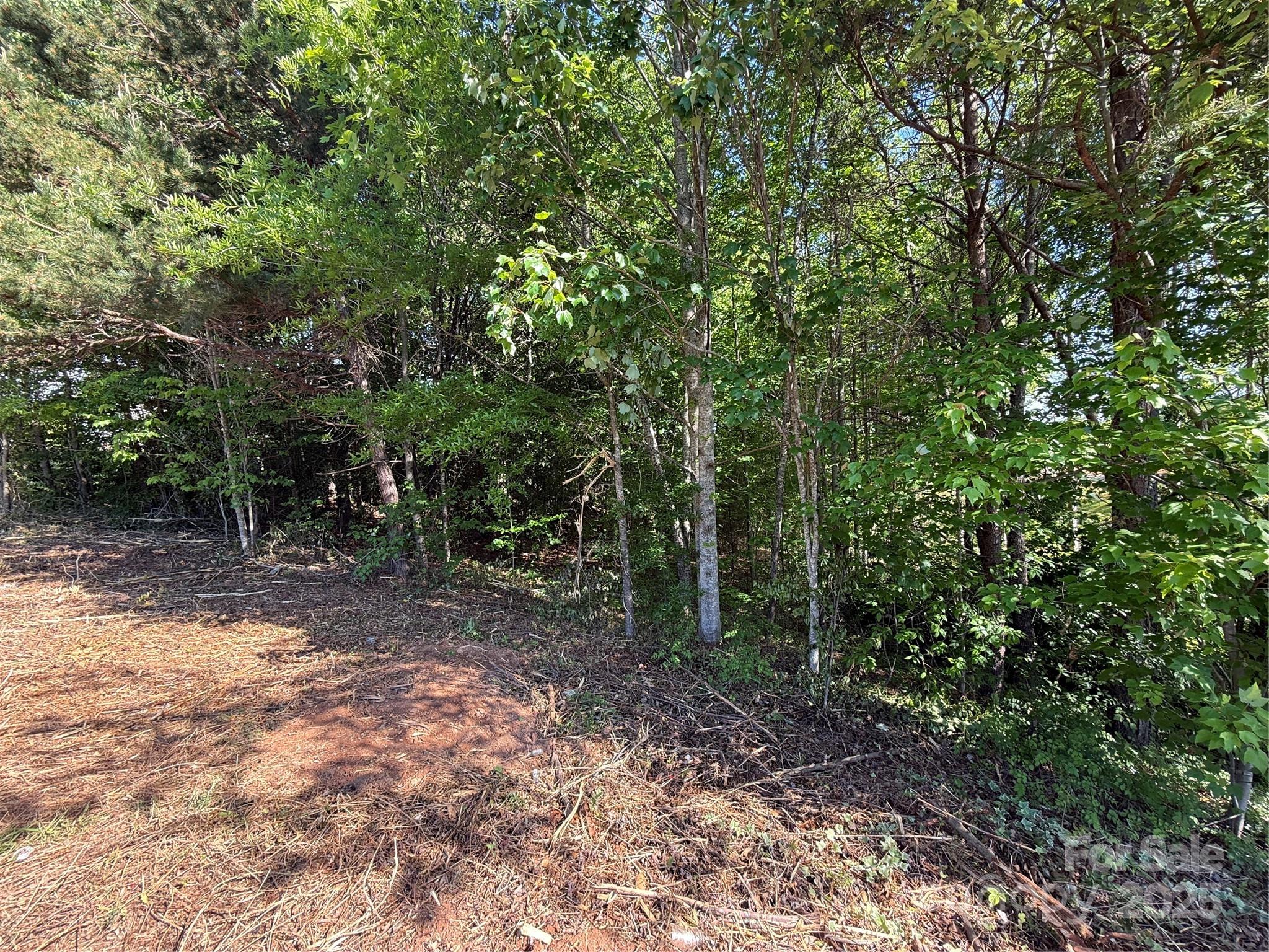 Lot 12 Wittenburg Springs Drive 012 Property Photo 2