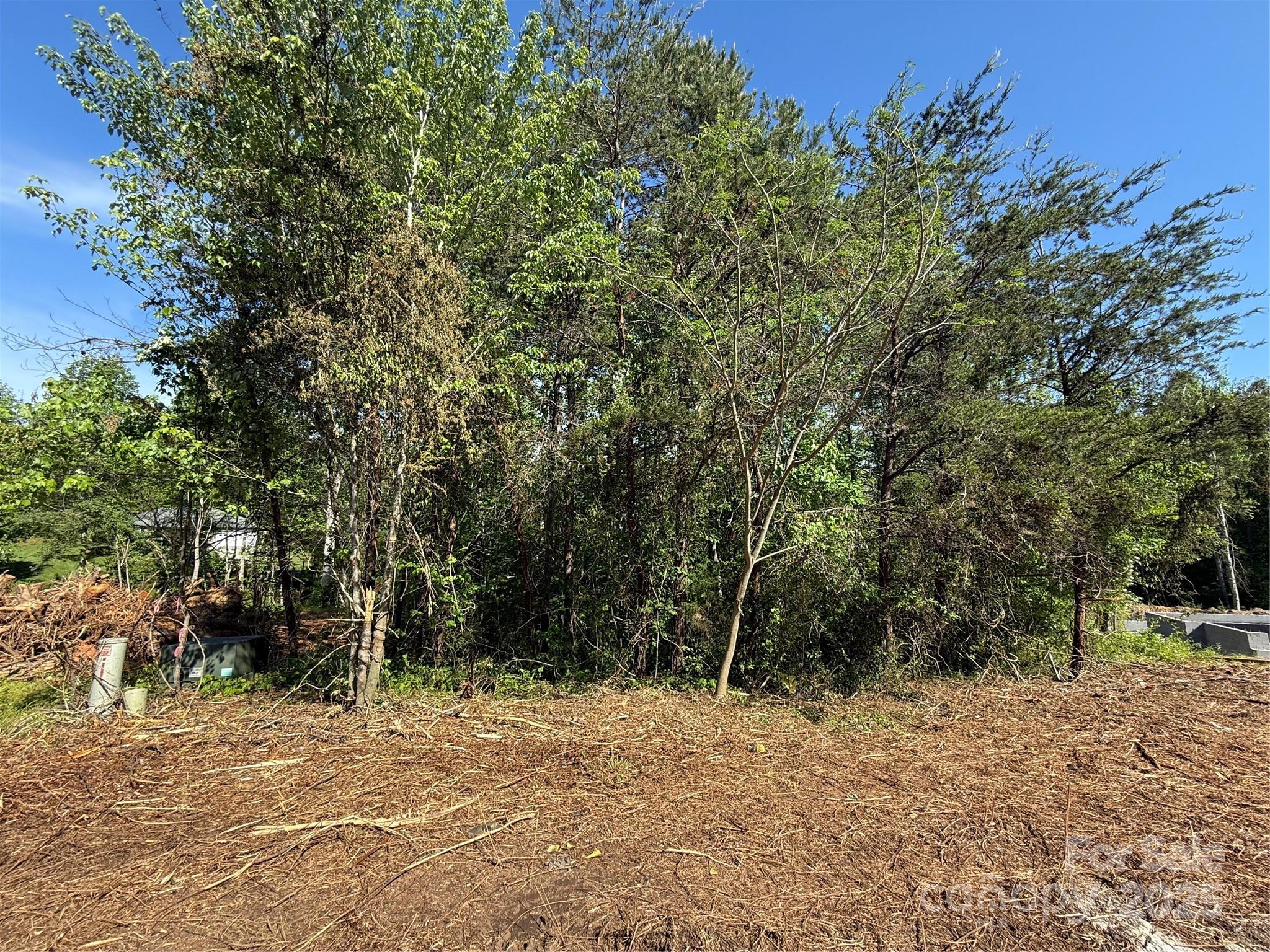 Lot 29 Wittenburg Springs Drive 029 Property Photo 2
