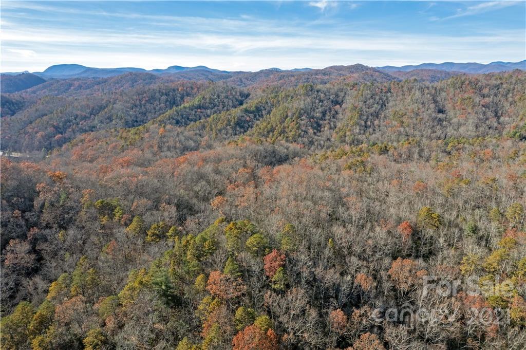 Tbd Rosman Highway Property Photo 5