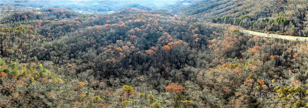 Tbd Rosman Highway Property Photo 6