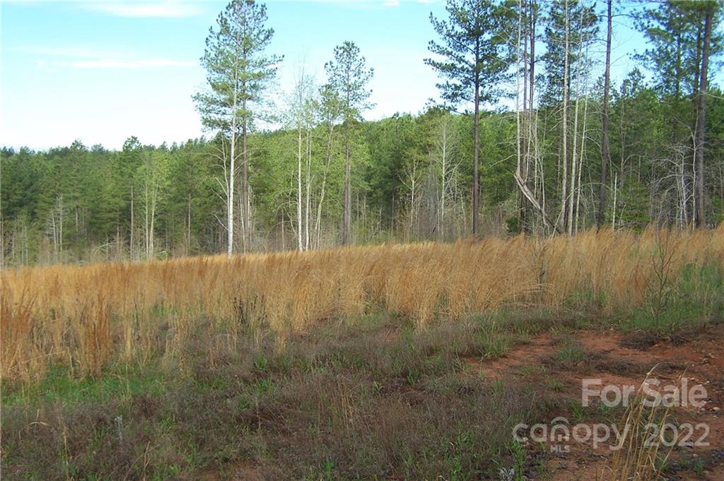 Tract 3 County Line Road Property Photo 2