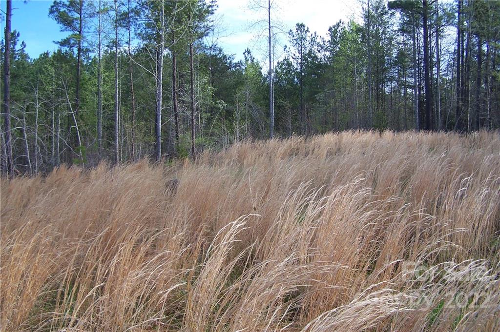 Tract 3 County Line Road Property Photo 3