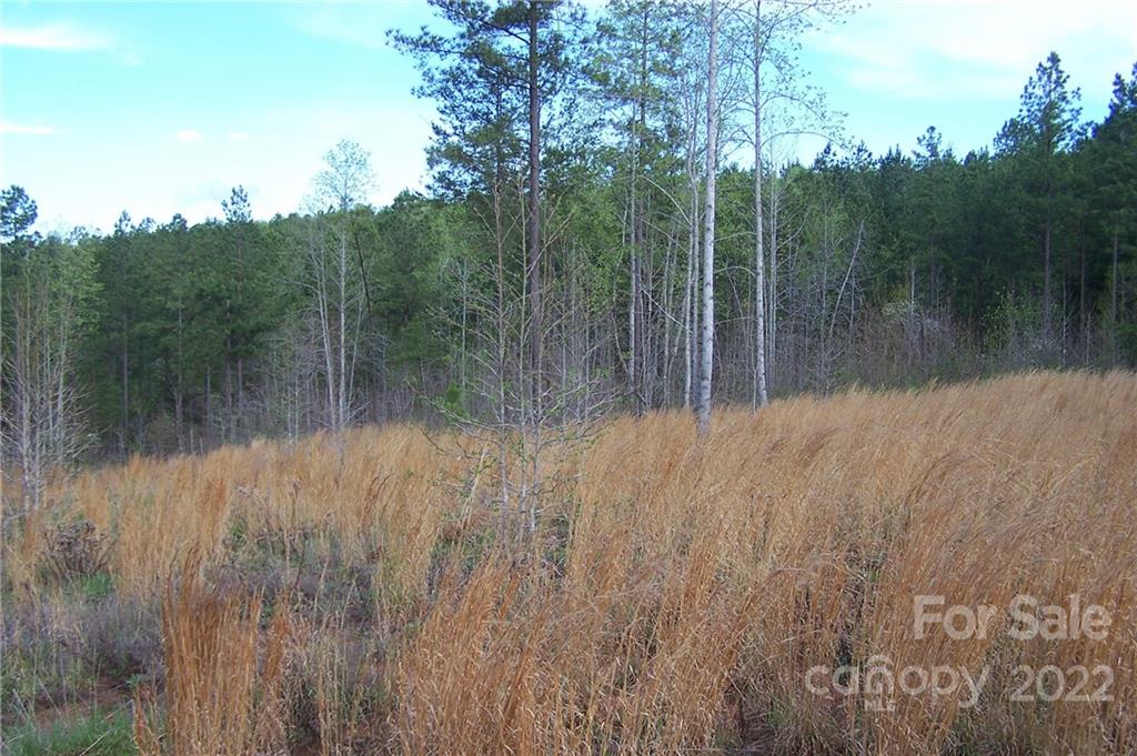 Tract 3 County Line Road Property Photo 4