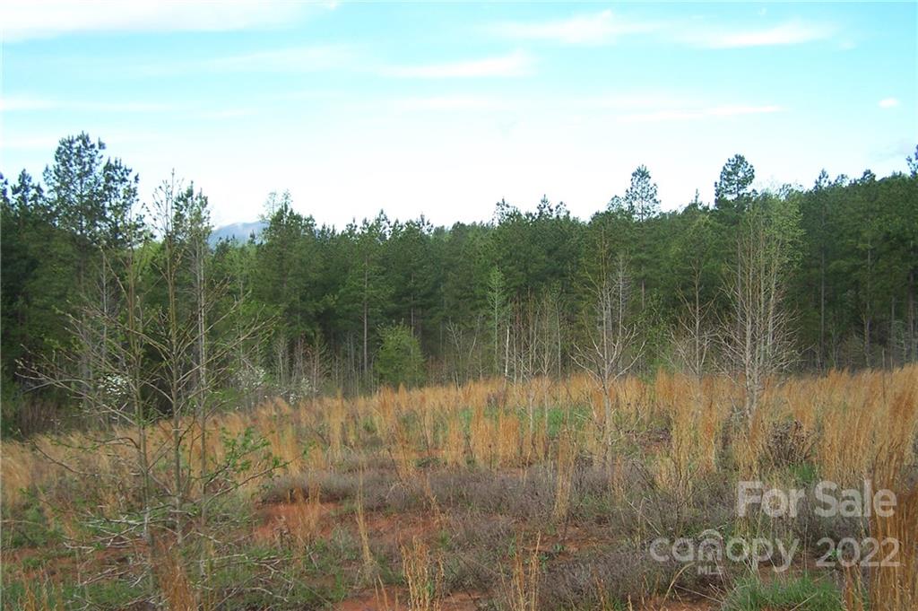 Tract 3 County Line Road Property Photo 5