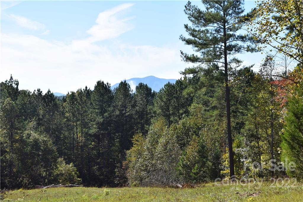 Tract 3 County Line Road Property Photo 6