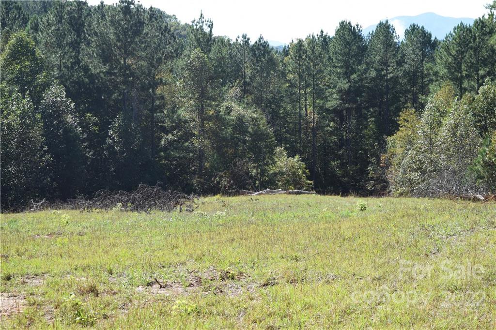 Tract 3 County Line Road Property Photo 7