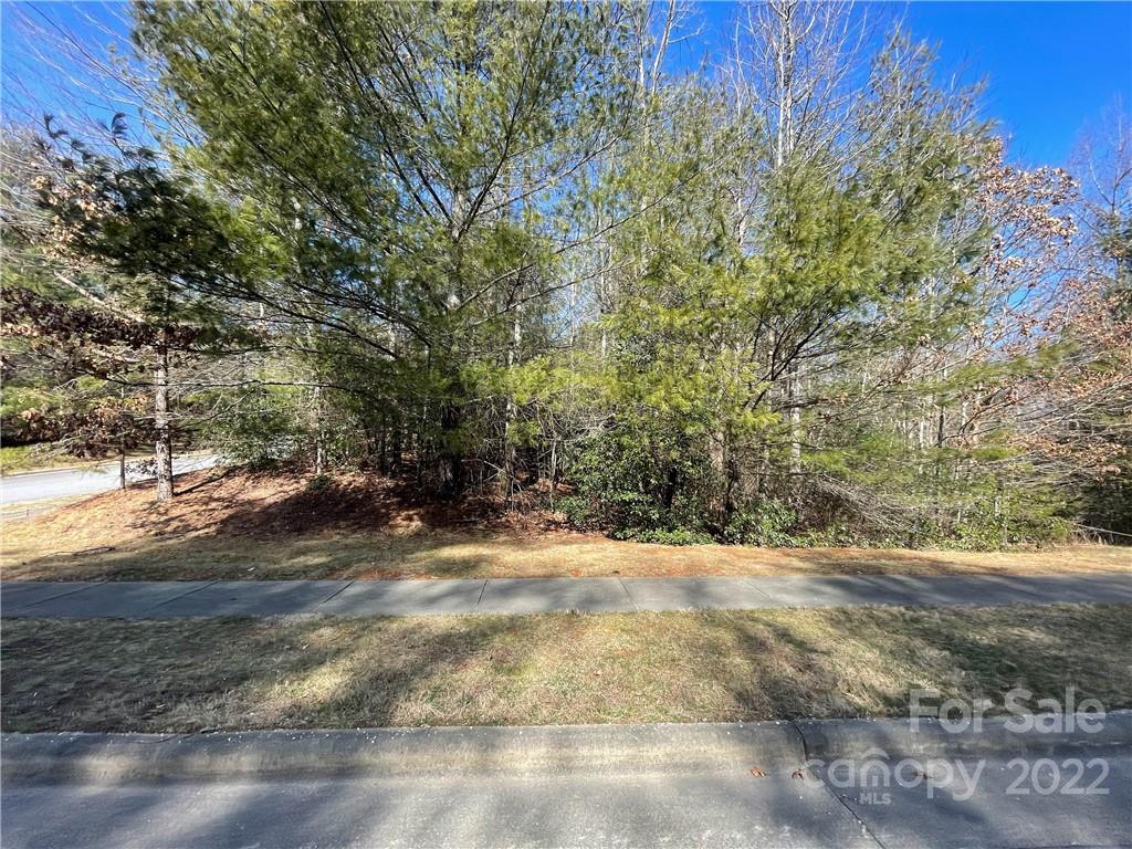 V30 Blueberry Hill Road Property Photo 2