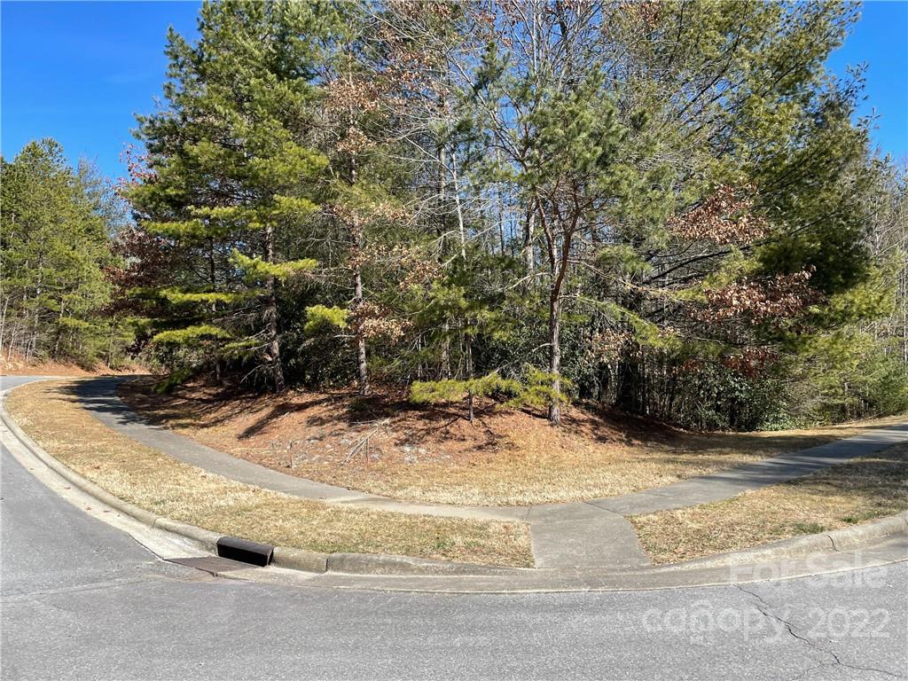 V30 Blueberry Hill Road Property Photo 4