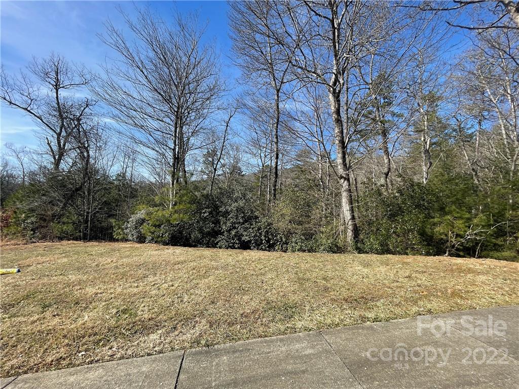 Sh11 Springhouse Trail Property Photo 1