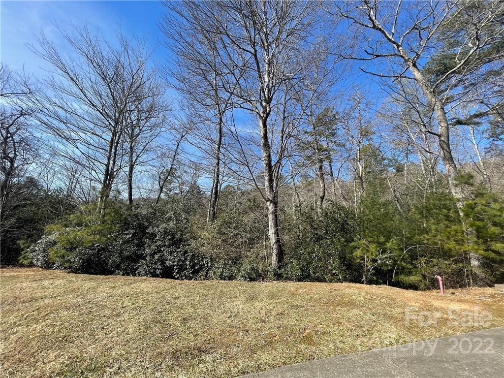 Sh11 Springhouse Trail Property Photo 2