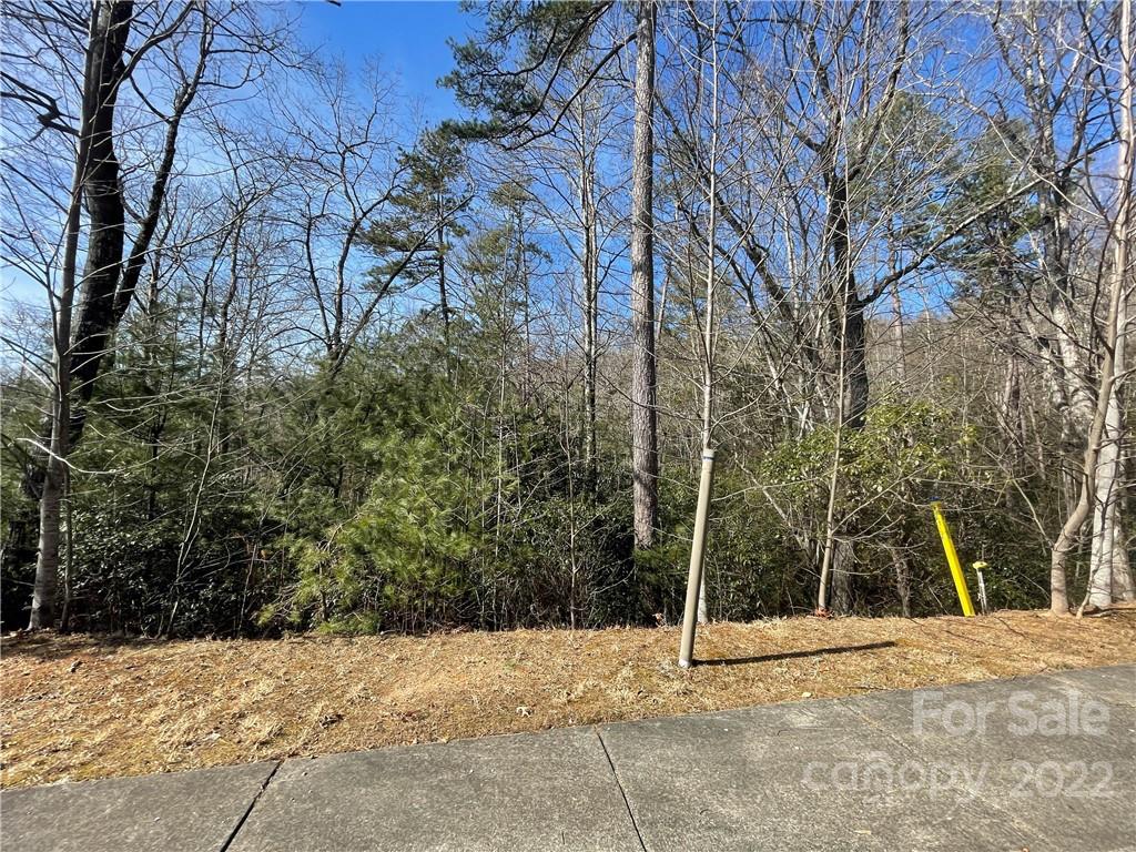 Sh11 Springhouse Trail Property Photo 3