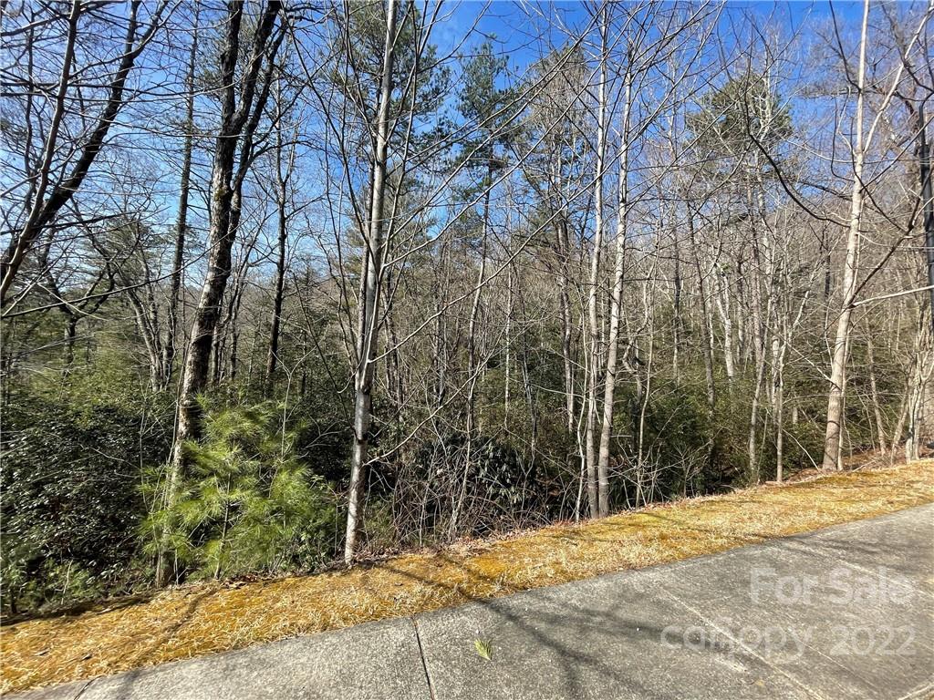 Sh11 Springhouse Trail Property Photo 4