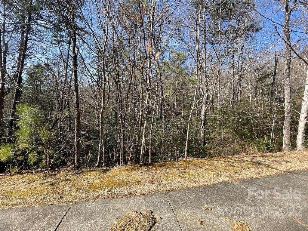 Sh11 Springhouse Trail Property Photo 6