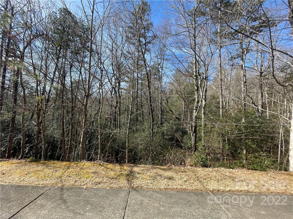 Sh11 Springhouse Trail Property Photo 7