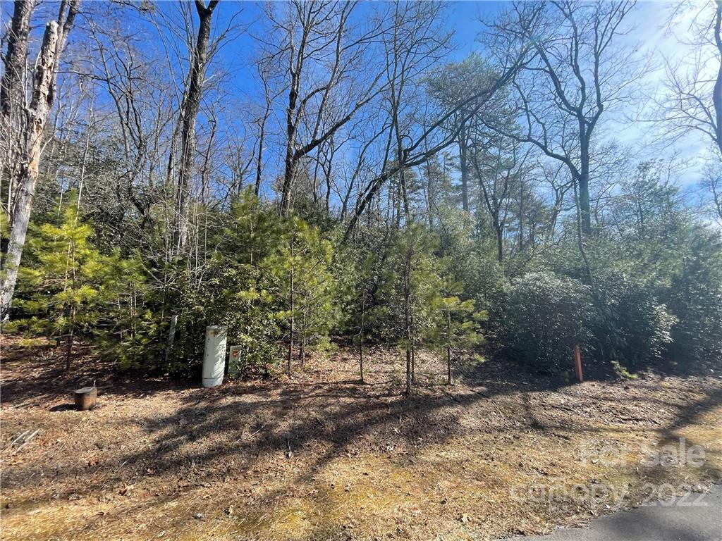 Sh11 Springhouse Trail Property Photo 8