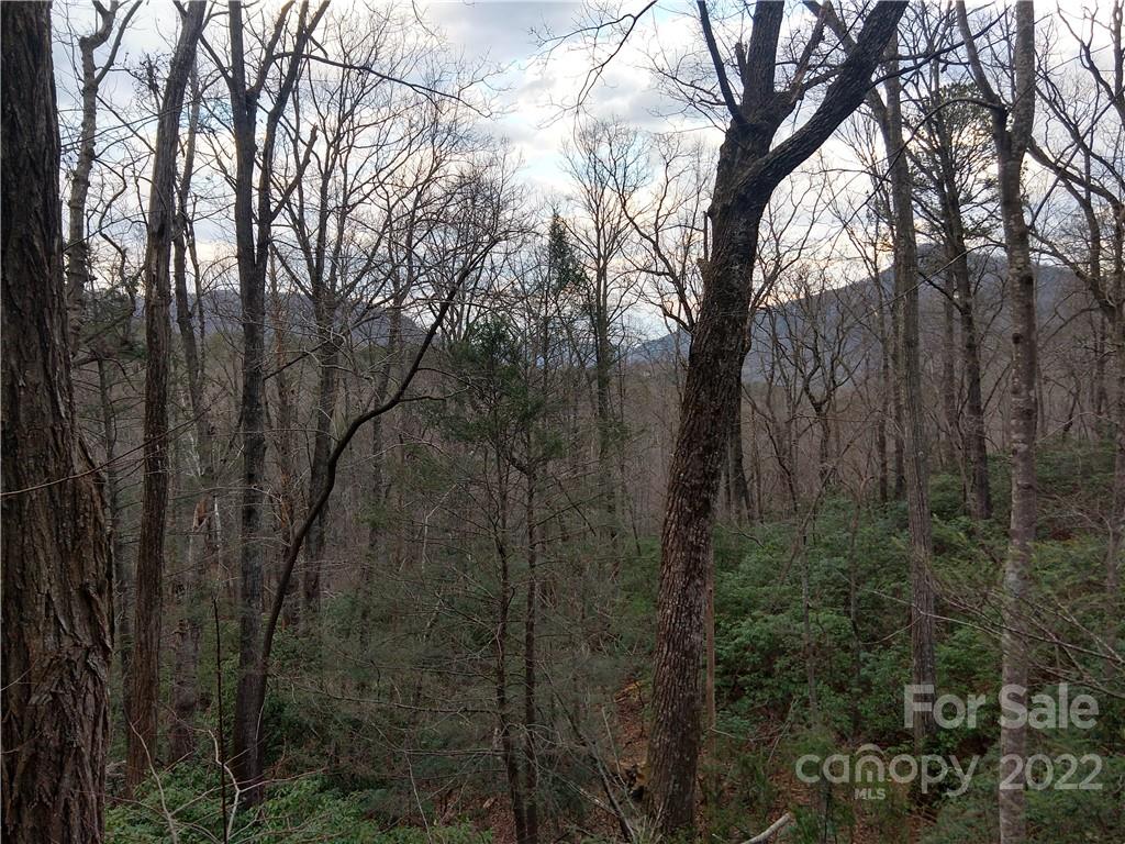 Lots 94 & 95 Rock Spring Road Property Photo 2