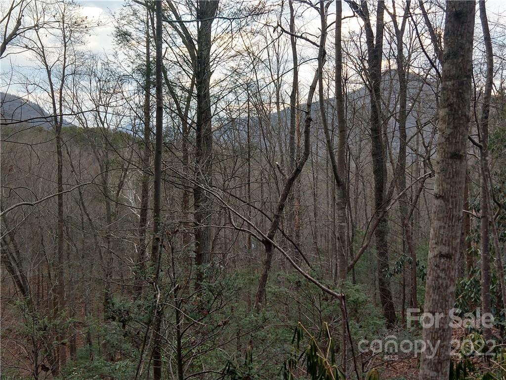 Lots 94 & 95 Rock Spring Road Property Photo 5