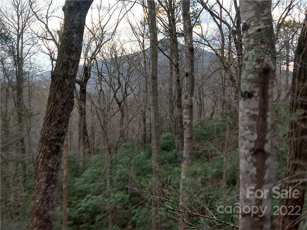 Lots 94 & 95 Rock Spring Road Property Photo 6