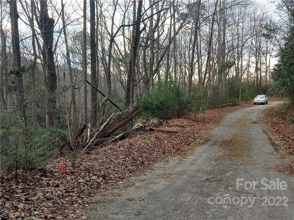 Lots 94 & 95 Rock Spring Road Property Photo 8