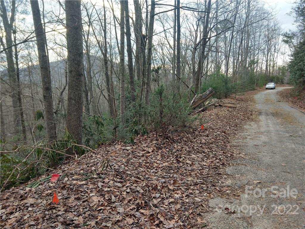 Lots 94 & 95 Rock Spring Road Property Photo 9