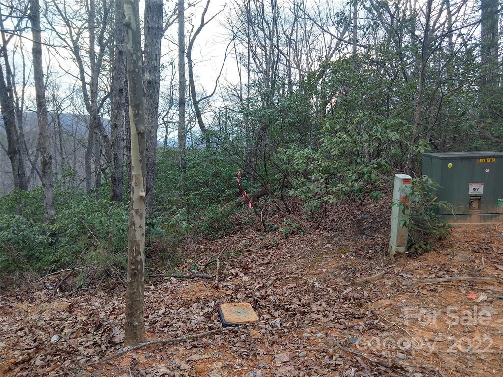 Lots 94 & 95 Rock Spring Road Property Photo 10