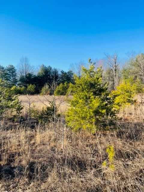 3774 Rhoney Farm Road Property Photo 4