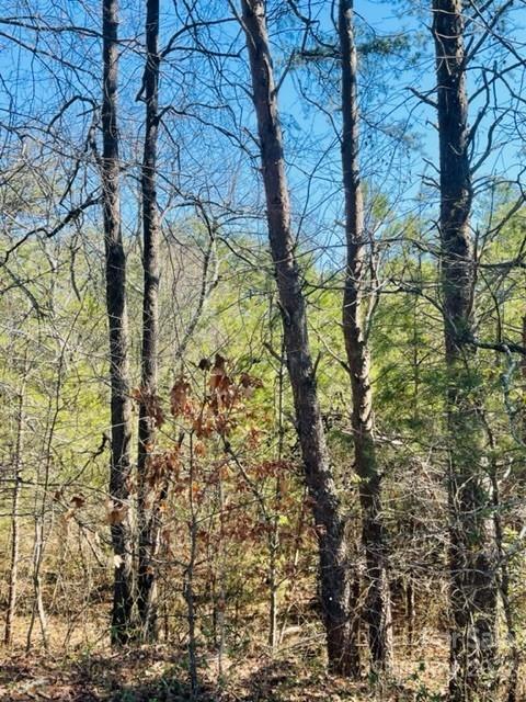 0 Ridge Drive Property Photo 1