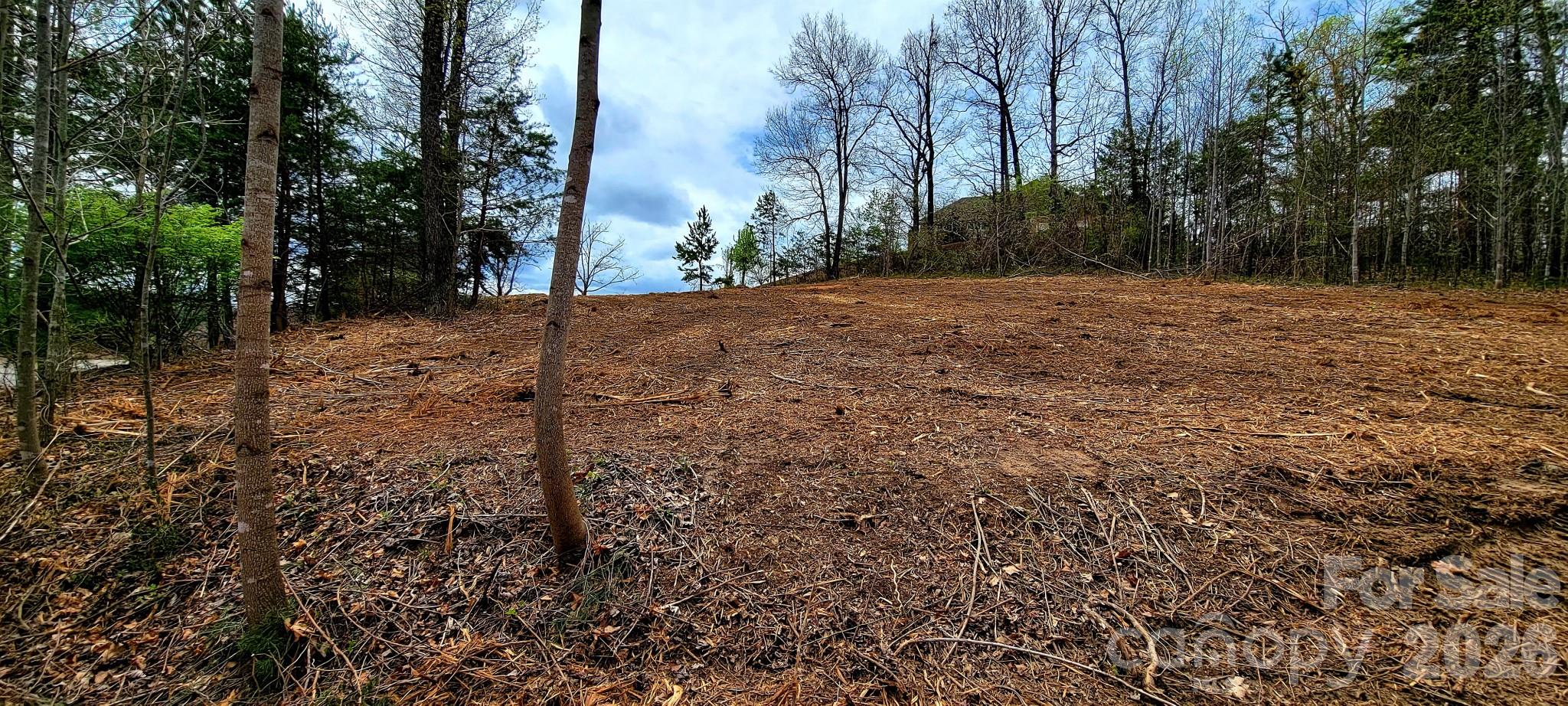 8 English Hills Drive Property Photo 10