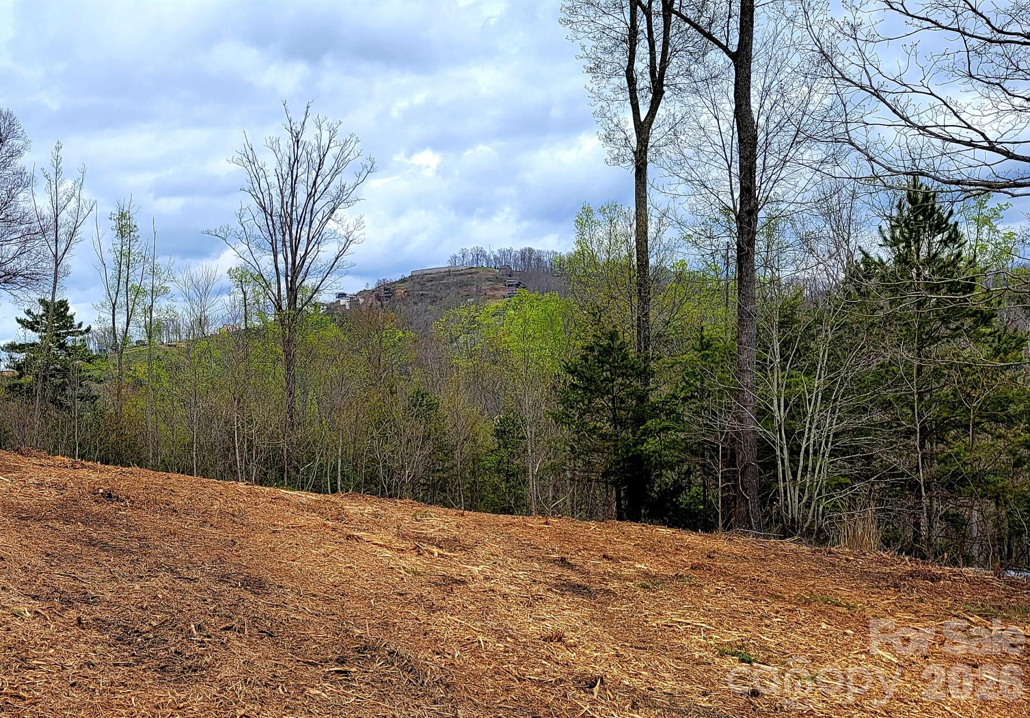 8 English Hills Drive Property Photo 12