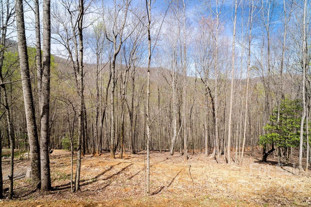 808 Stoney Stream Lane Property Photo 1