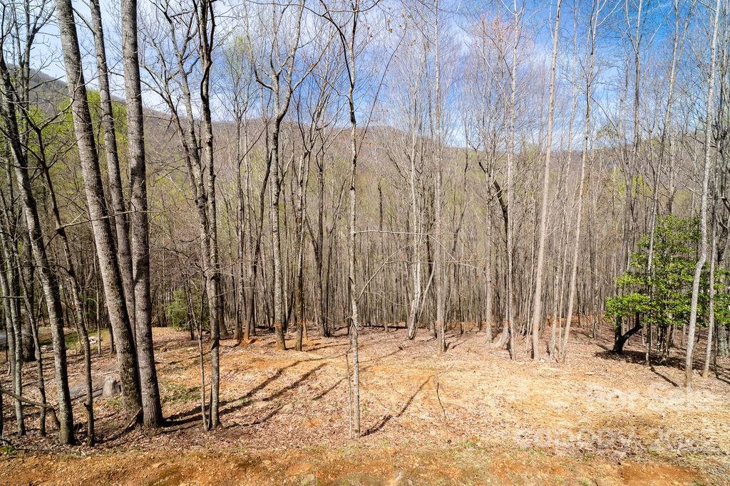 808 Stoney Stream Lane Property Photo 2