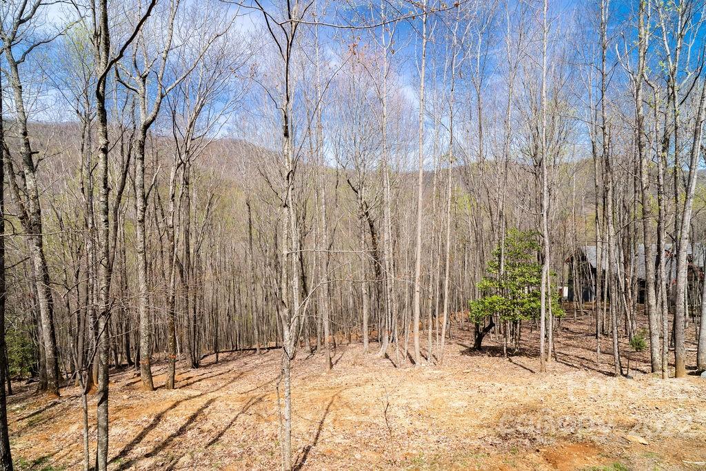 808 Stoney Stream Lane Property Photo 3