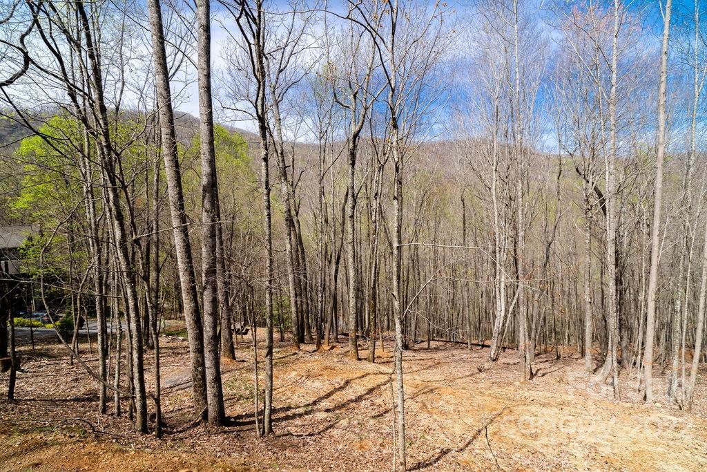 808 Stoney Stream Lane Property Photo 4