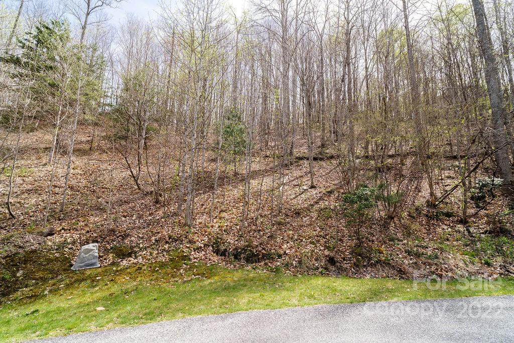 808 Stoney Stream Lane Property Photo 9