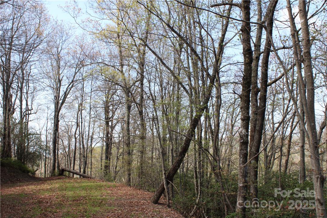 Tbd Oak Ridge Road 17 Property Photo