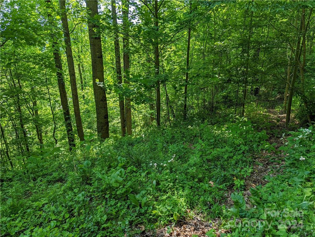 11 Trout Lily Lane 11 Property Photo 9